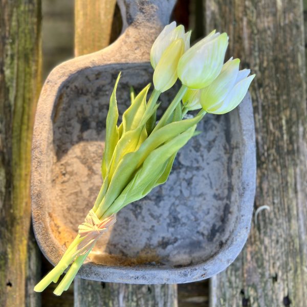 Kunst tulpen (kort)