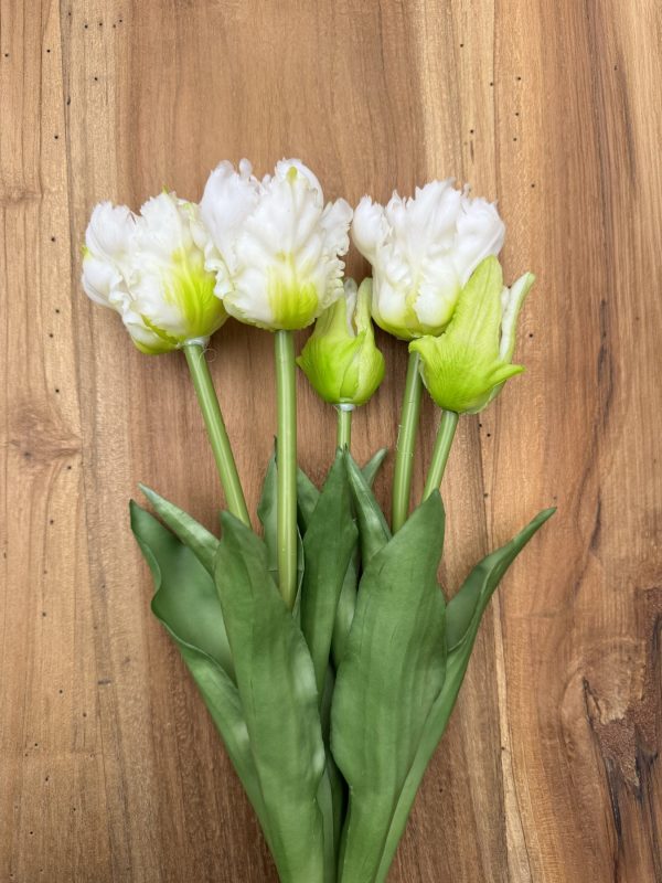 Witte kunst tulpen