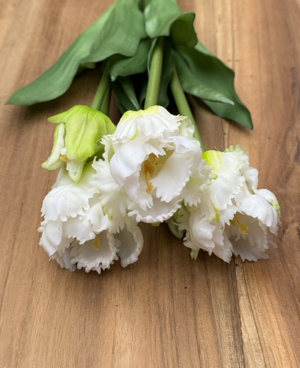 Bos (kunst) tulpen wit