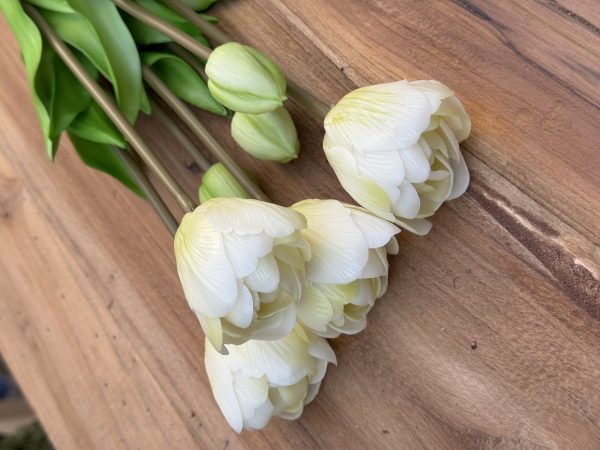 Bos (kunst) lange tulpen crème