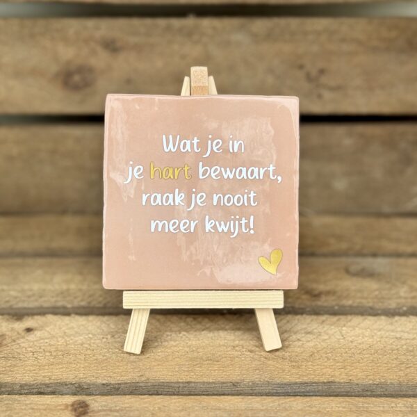 Wat je in je hart bewaart, raak je nooit meer kwijt! (ROZE)