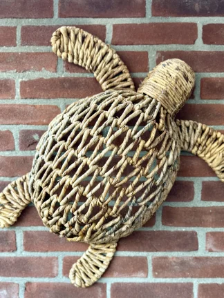 Schildpad Bali Groot