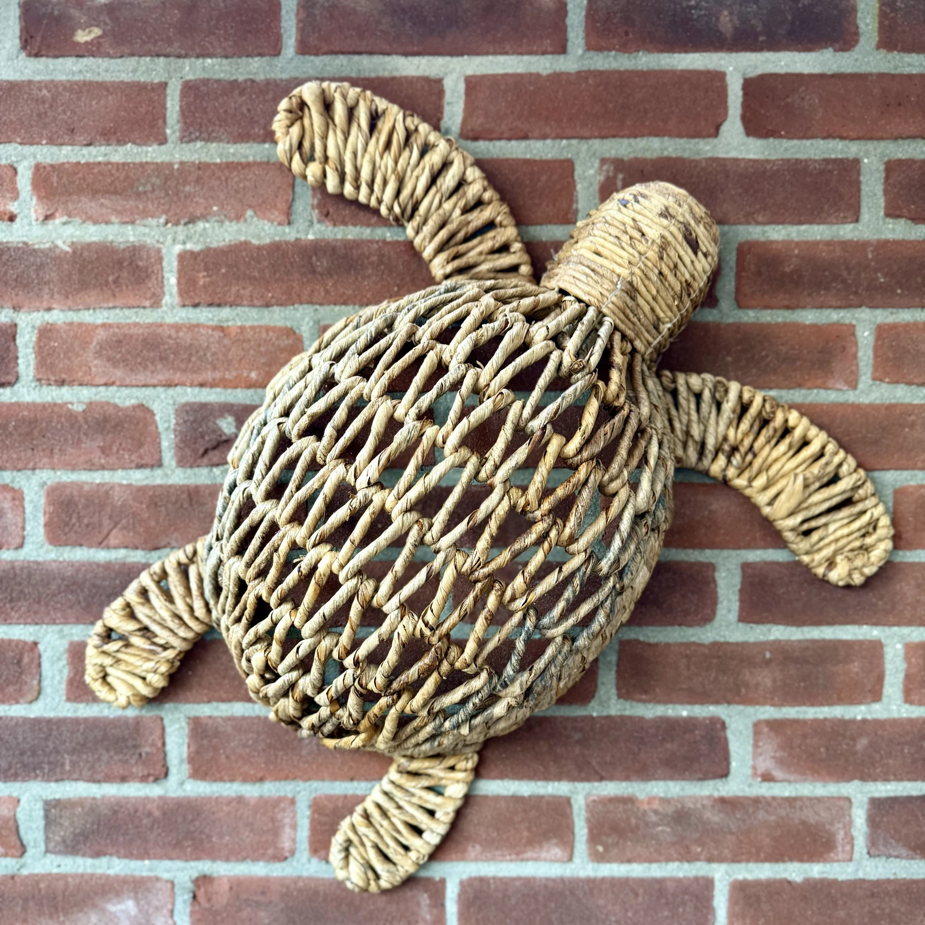 Schildpad Bali Groot