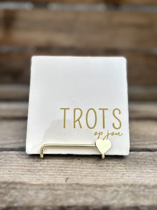 Tegeltje Trots op jou