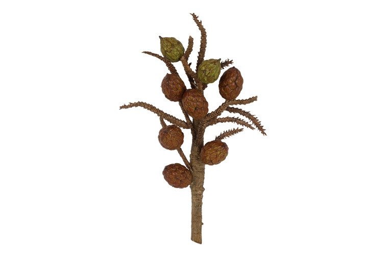 raffia tak