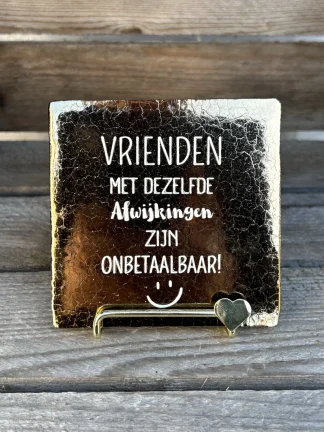 Tegeltje vrienden met dezelfde afwijkingen zijn… (brons)