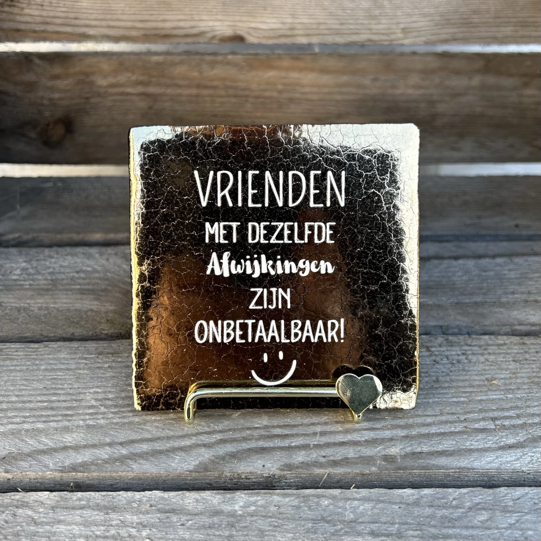Tegeltje vrienden met dezelfde afwijkingen zijn… (brons)