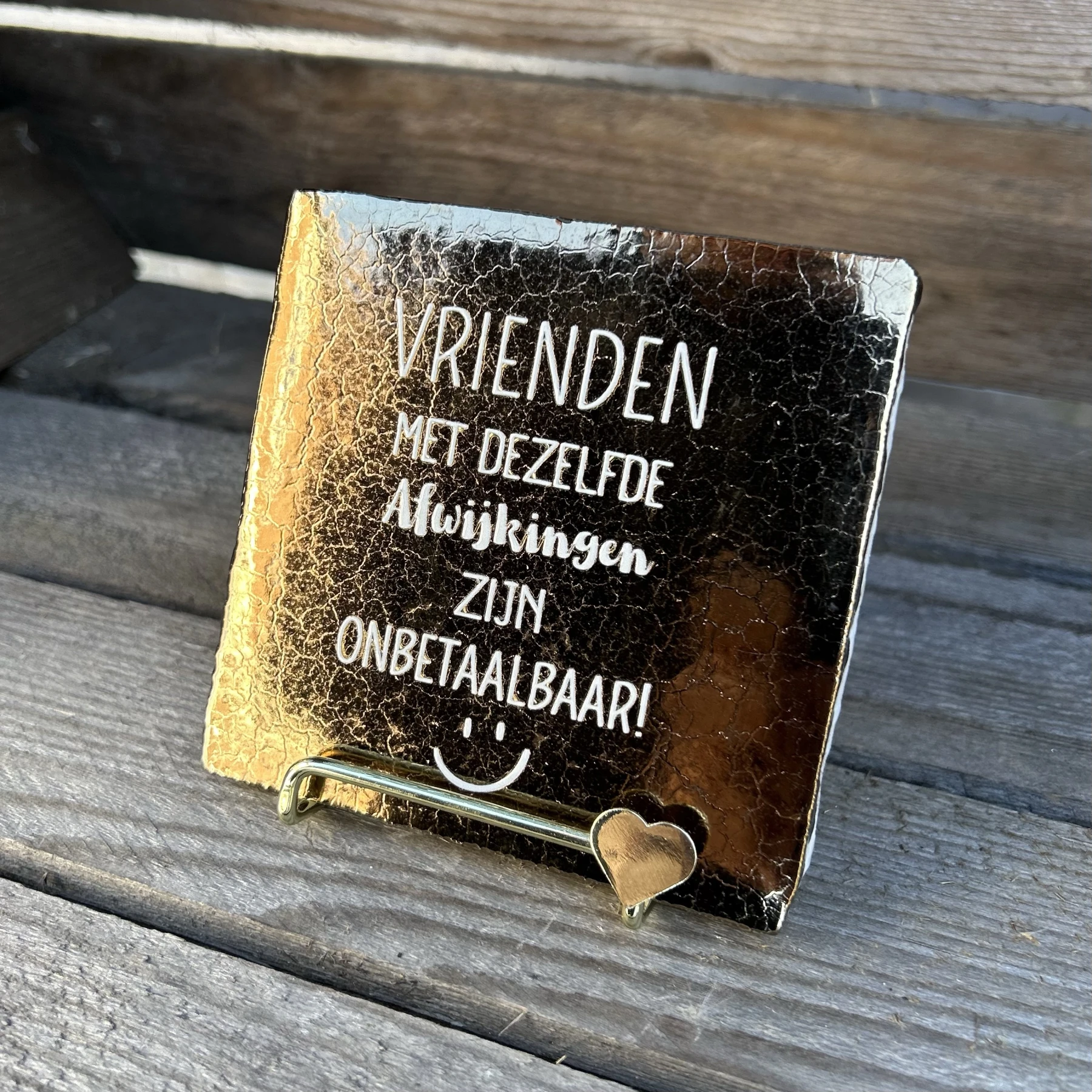Tegeltje vrienden met dezelfde afwijkingen zijn… (brons) - Afbeelding 2