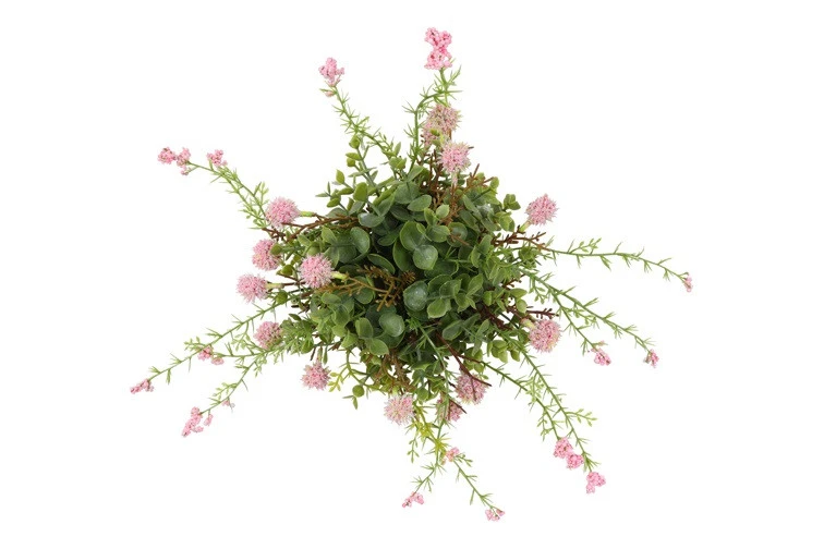 Roze zijdenplant met fijne bloemetjes klein