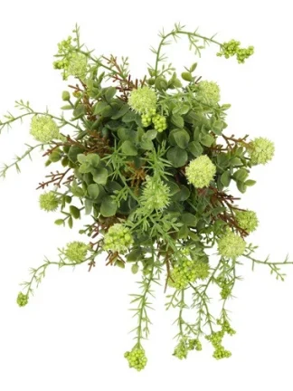 Groene zijdenplant met fijne bloemetjes klein