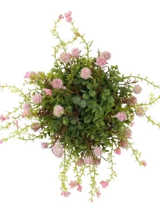 Roze zijdenplant met fijne bloemetjes groot