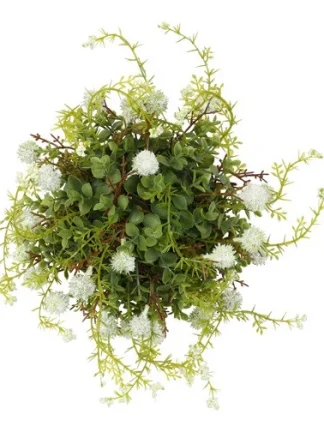 Witte zijdenplant met fijne bloemetjes groot