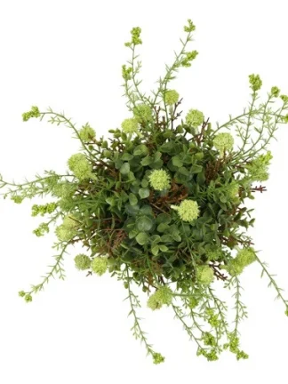 Groene zijdenplant met fijne bloemetjes groot