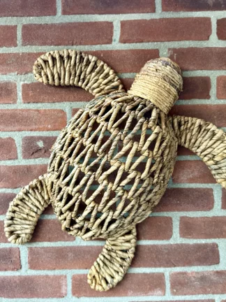Schildpad Bali medium