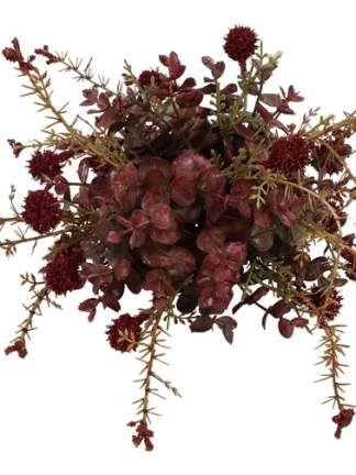 Rode zijdenplant met fijne bloemetjes klein
