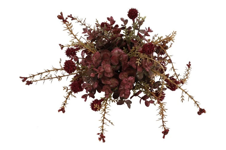 Rode zijdenplant met fijne bloemetjes klein
